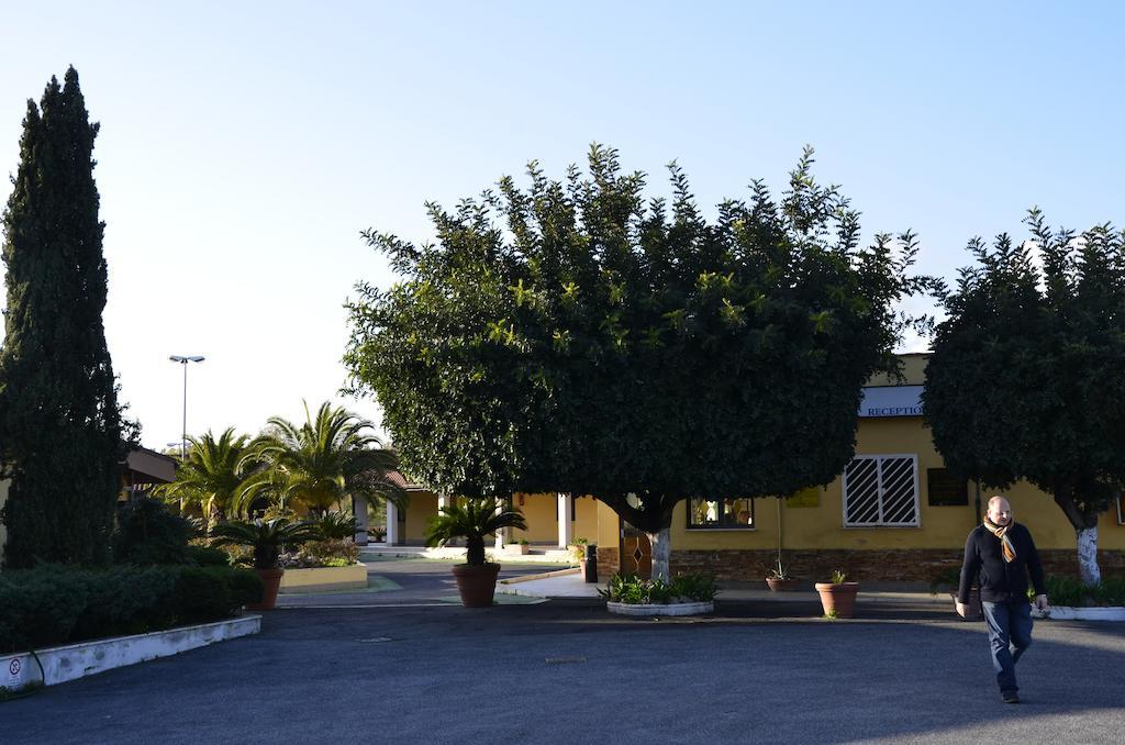 Complesso L'Oasi Hotel Aranova Luaran gambar